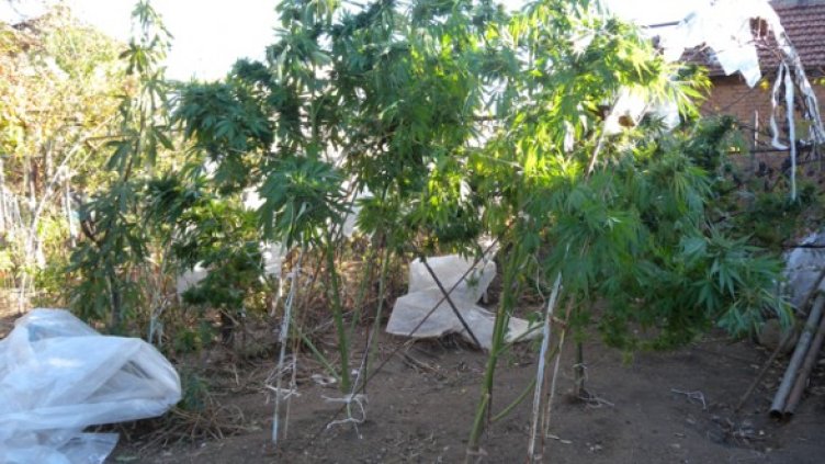 Снимка: МВР