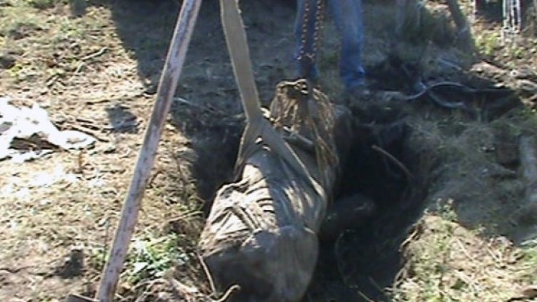 Снимка: МВР