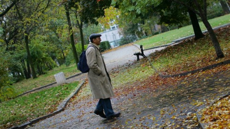 Снимка: БГНЕС