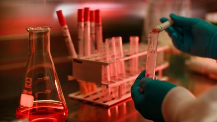 Снимка: Getty Images/Guliver Photos