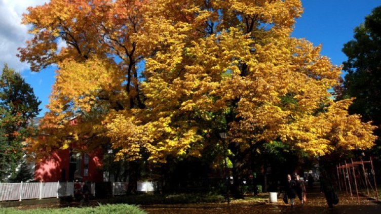 Снимка: БГНЕС