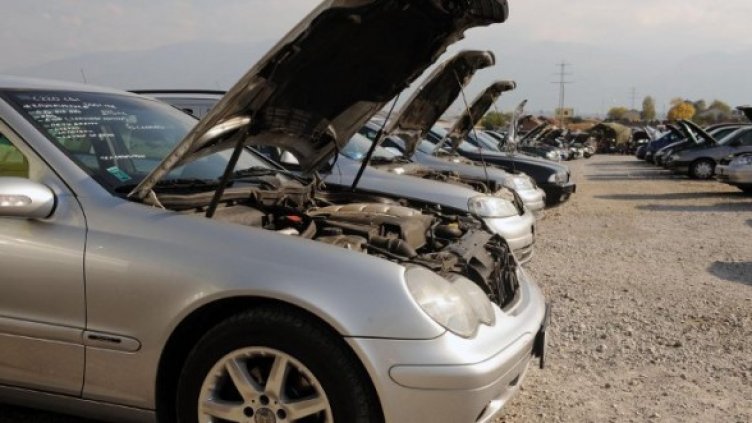 Снимка: Булфото