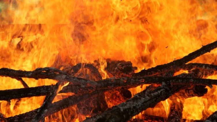 Снимка: Getty Images/Guliver Photos