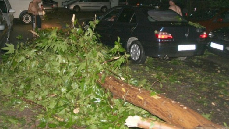 Снимка: БГНЕС