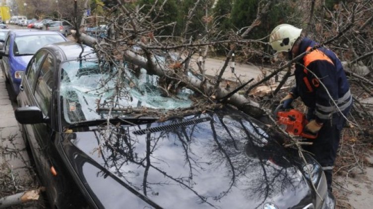 Снимка: Булфото