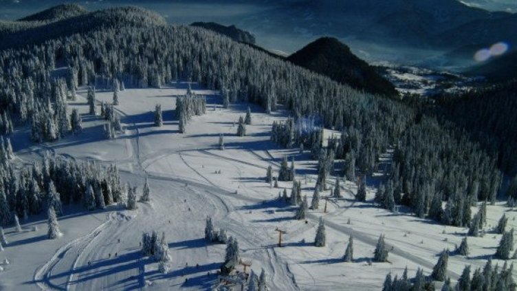 Снимка: Булфото