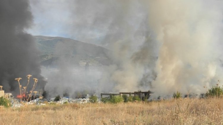 Снимка: БГНЕС