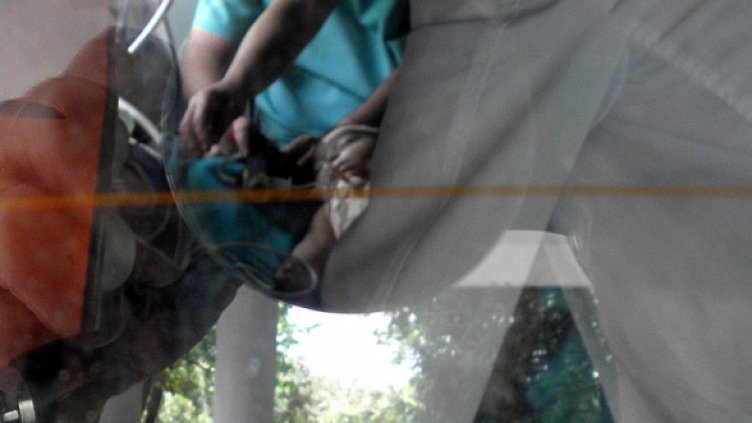 Снимка: БГНЕС