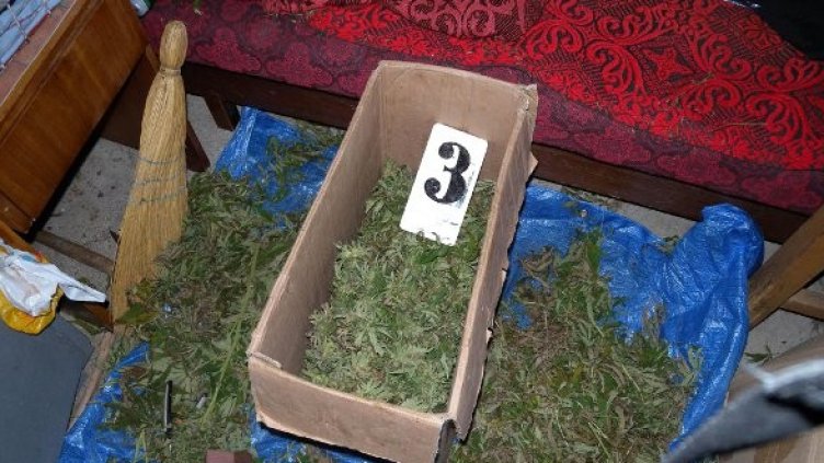 Снимка: Булфото