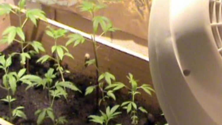 Снимка: МВР