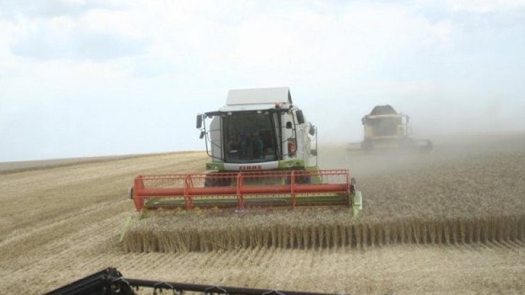 Снимка: Булфото