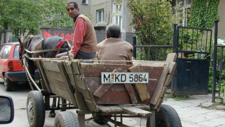 Снимка: Булфото