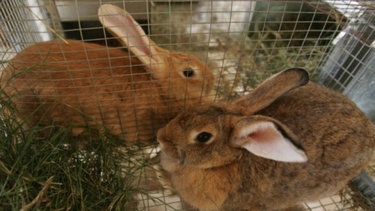 Снимка: Getty Images/Guliver Photos