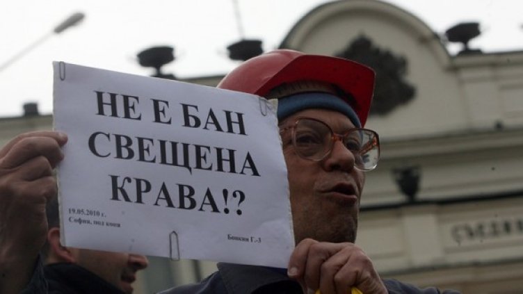 Снимка: БГНЕС