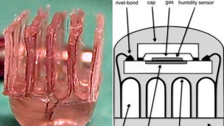 Снимка: epsrc.ac.ukepsrc.ac.uk