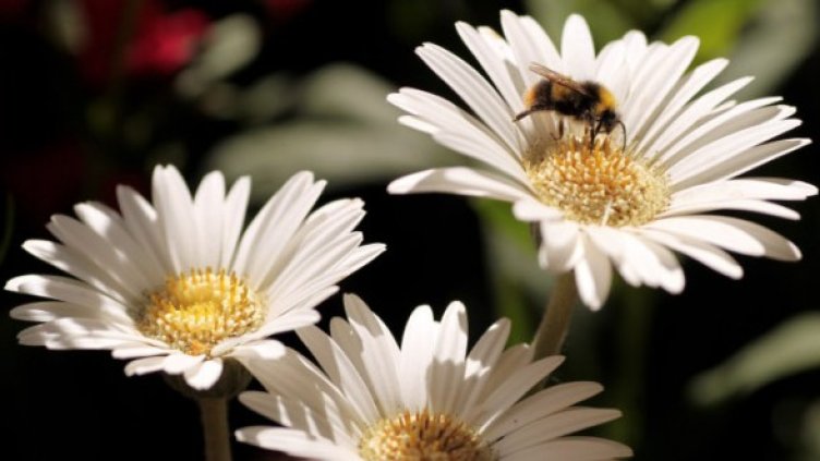 Снимка: Getty Images/Guliver Photos