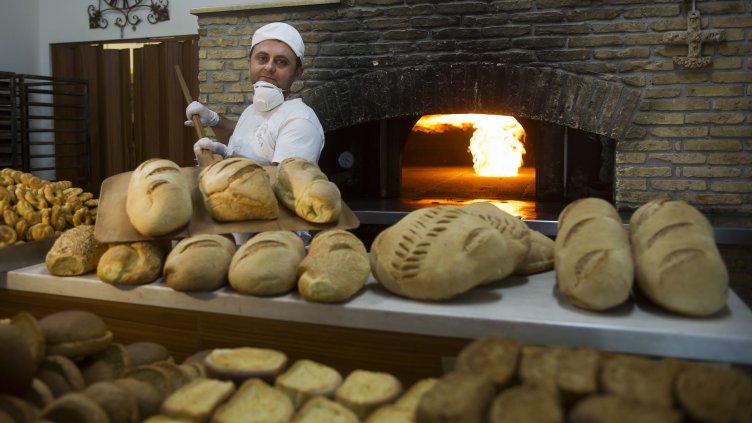 Снимка: архив, БГНЕС