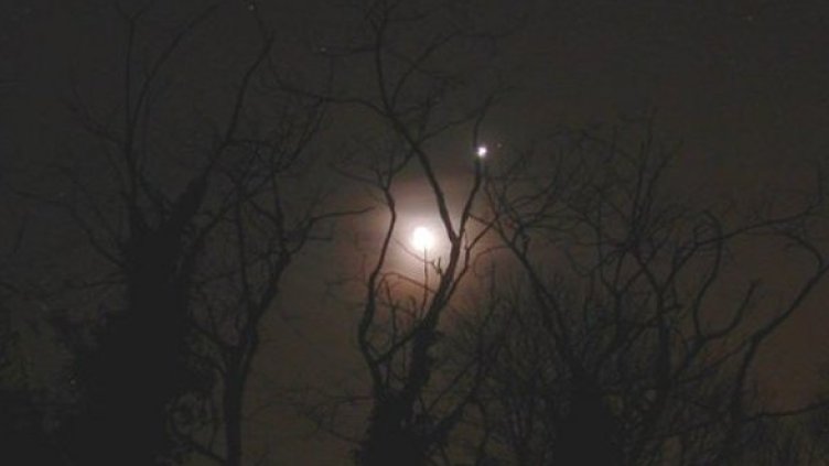 Снимка: Laurent Laveder