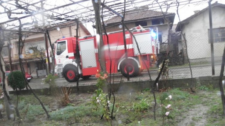 Снимка: БГНЕС