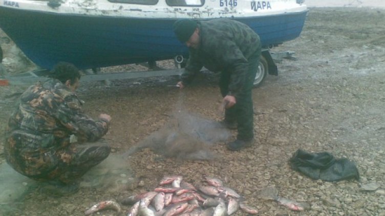 Снимка: БГНЕС