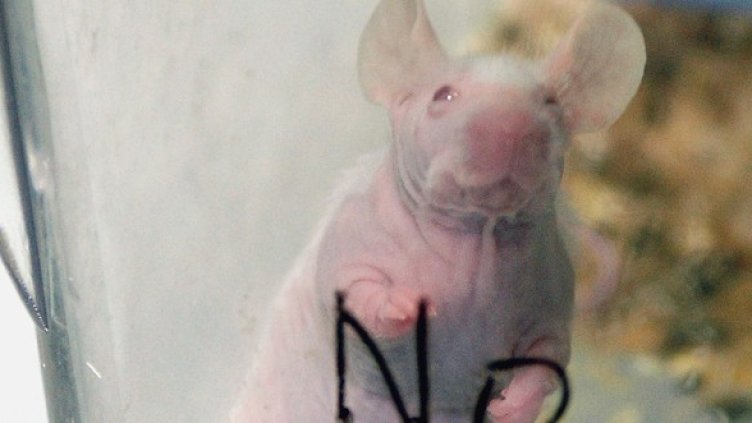 Снимка: Getty Images/Guliver Photos