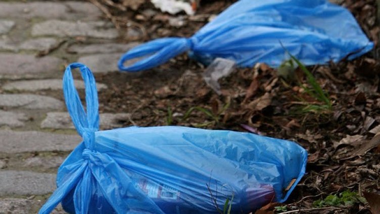 Снимка: Getty Images/Guliver Photos