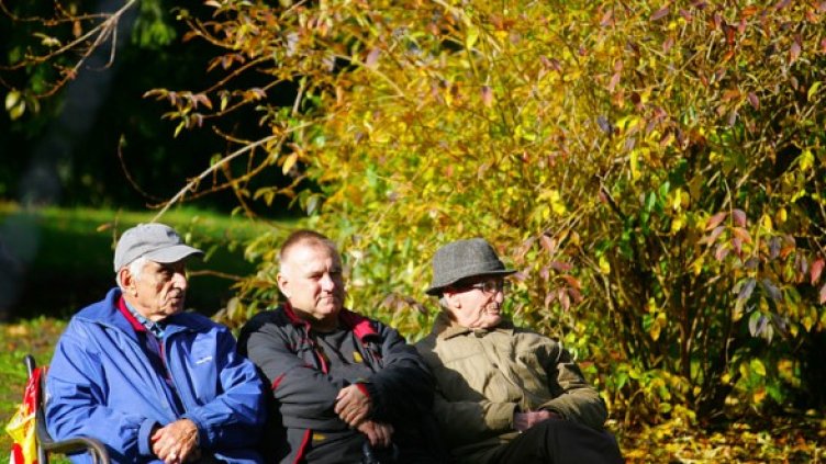 Снимка: БГНЕС