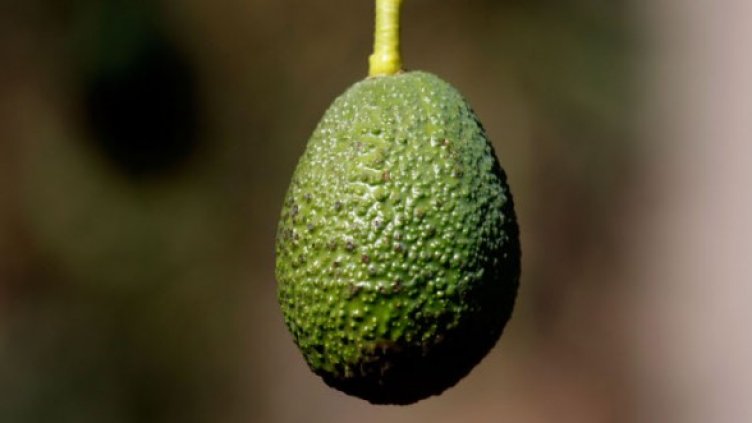 Снимка: Getty Images/Guliver Photos