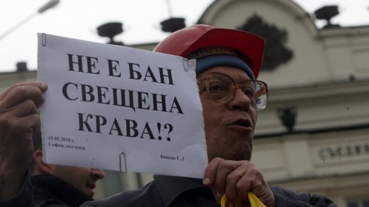 Гражданин подкрепя протеста на БАН. Снимка: БГНЕС