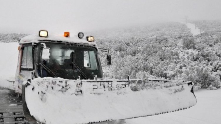 Снимка: Булфото