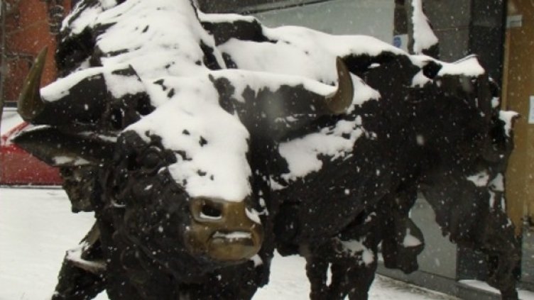 Снимка: Investor.bg