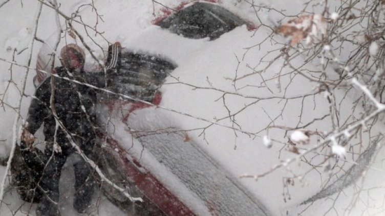 Снимка: БГНЕС