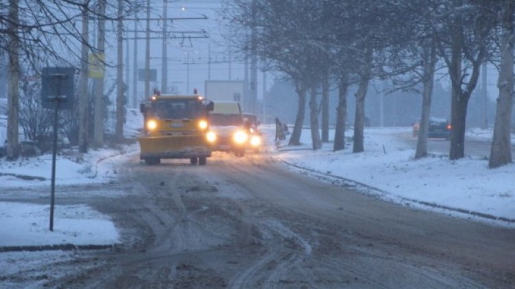 Снимка: БГНЕС