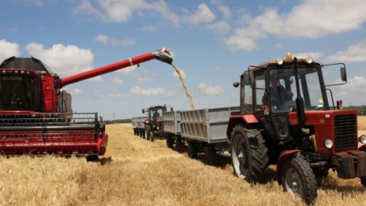 Снимка: Булфото