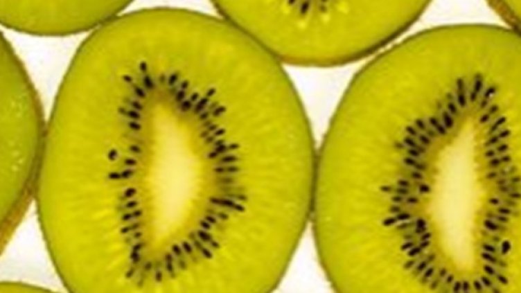 Снимка: Getty Images/Guliver Photos