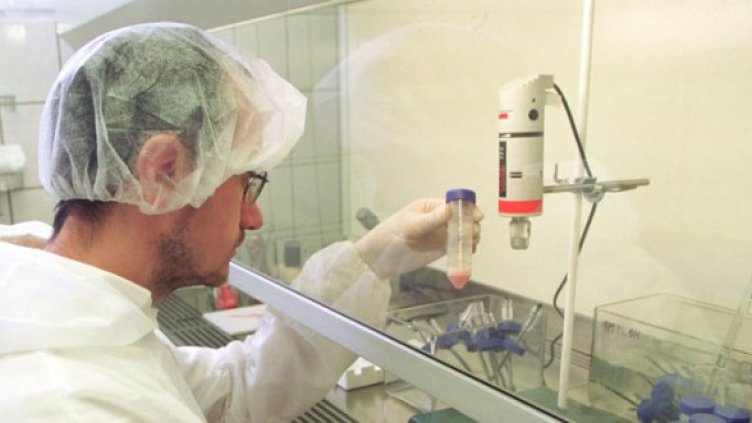 Снимка: Getty Images/Guliver Photos