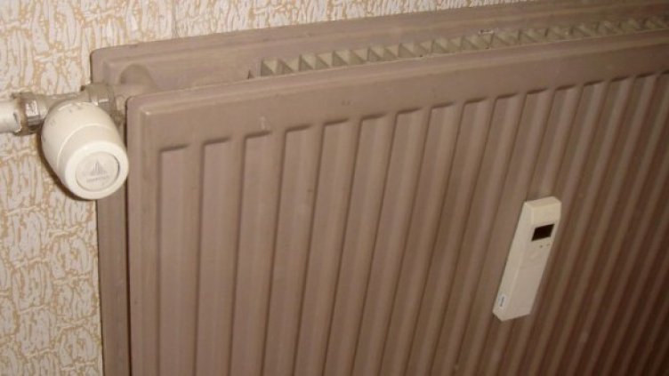 Снимка: Булфото