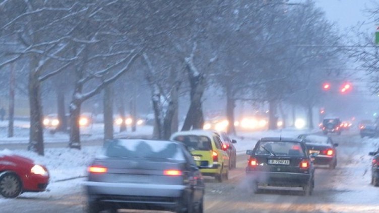 Снимка: БГНЕС