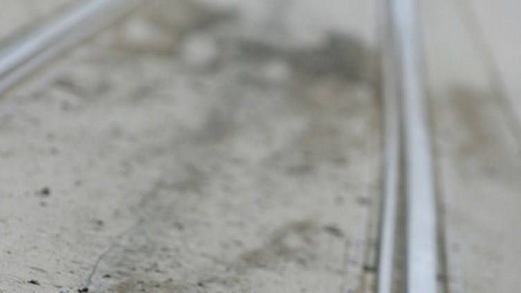 Снимка:  БГНЕС