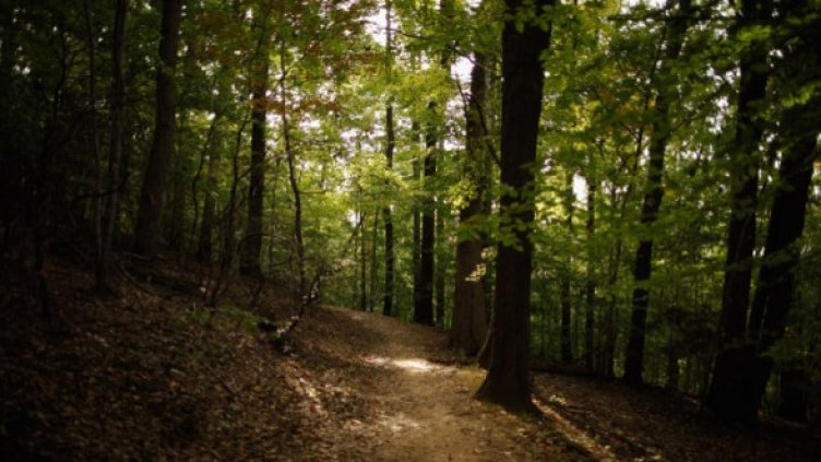 Снимка: Getty Images/Guliver Photos