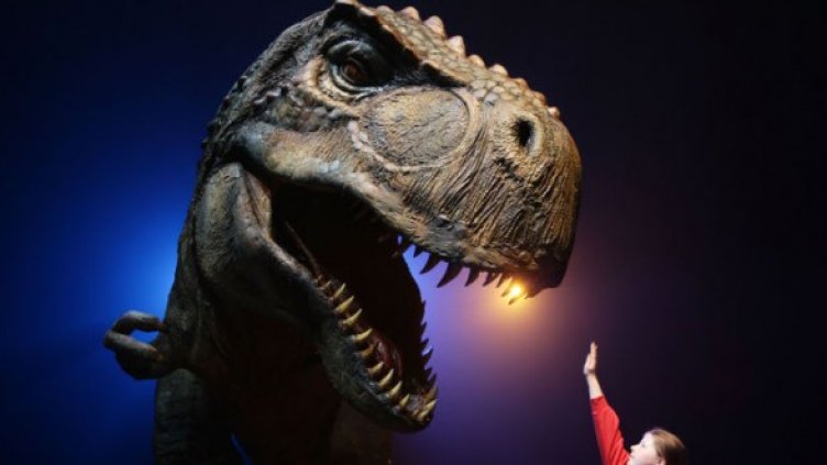 Снимка: Getty Images/Guliver Photos