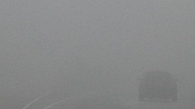 Снимка: Булфото