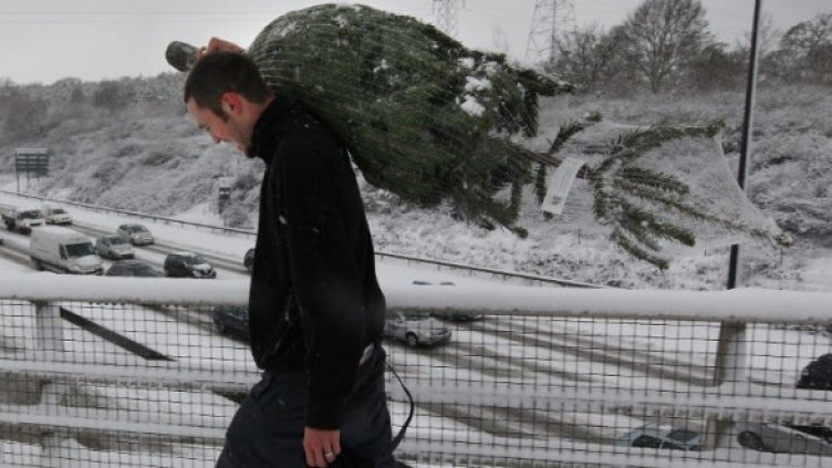 Снимка: Getty Images/Guliver Photos