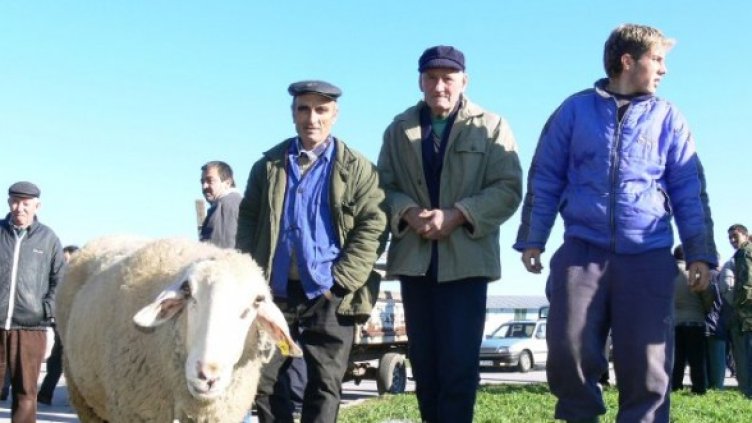 Снимка: Булфото