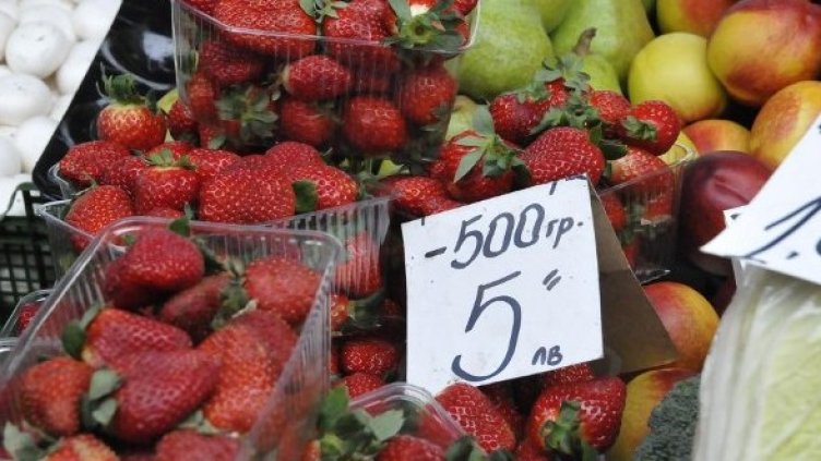 Снимка: Булфото