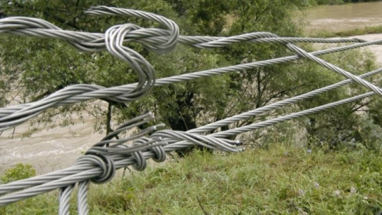 Снимка: Булфото