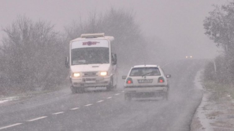 Снимка: Булфото