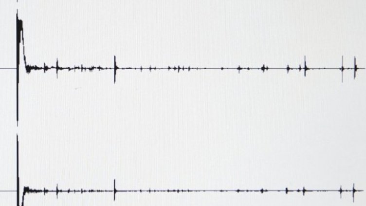 Снимка: Getty Images/Guliver Photos