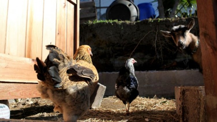 Снимка: Булфото