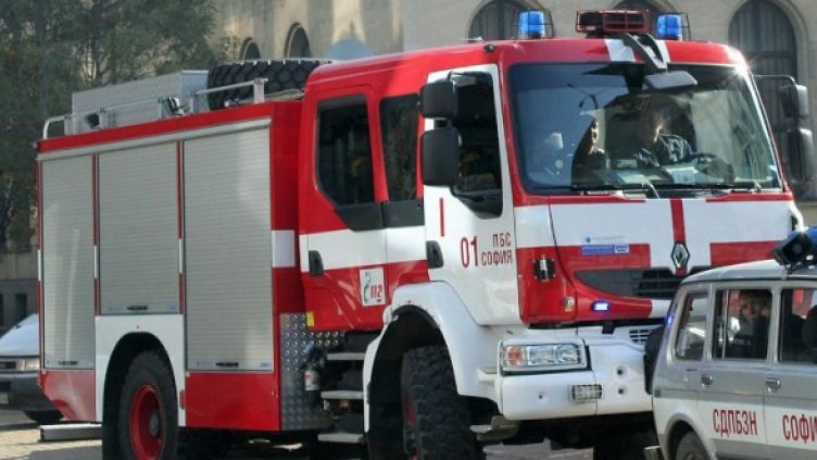 Снимка: Булфото